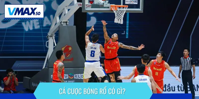 Cá cược bóng rổ là hình thức giải trí được nhiều người lựa chọn