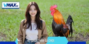 kỹ thuật vần gà chọi